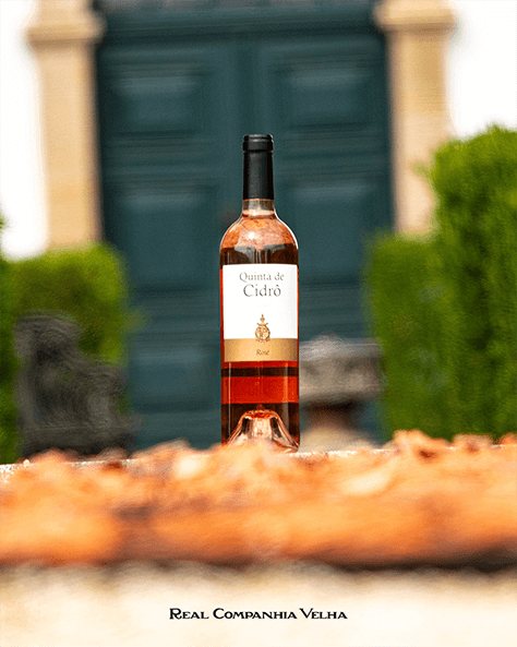 Portfolio, projetos de Fotografia, Design gráfico, Vídeo, Motion e Desenvolvimento de Websites para Real Companhia Velha, Quinta das Carvalhas e Delaforce.